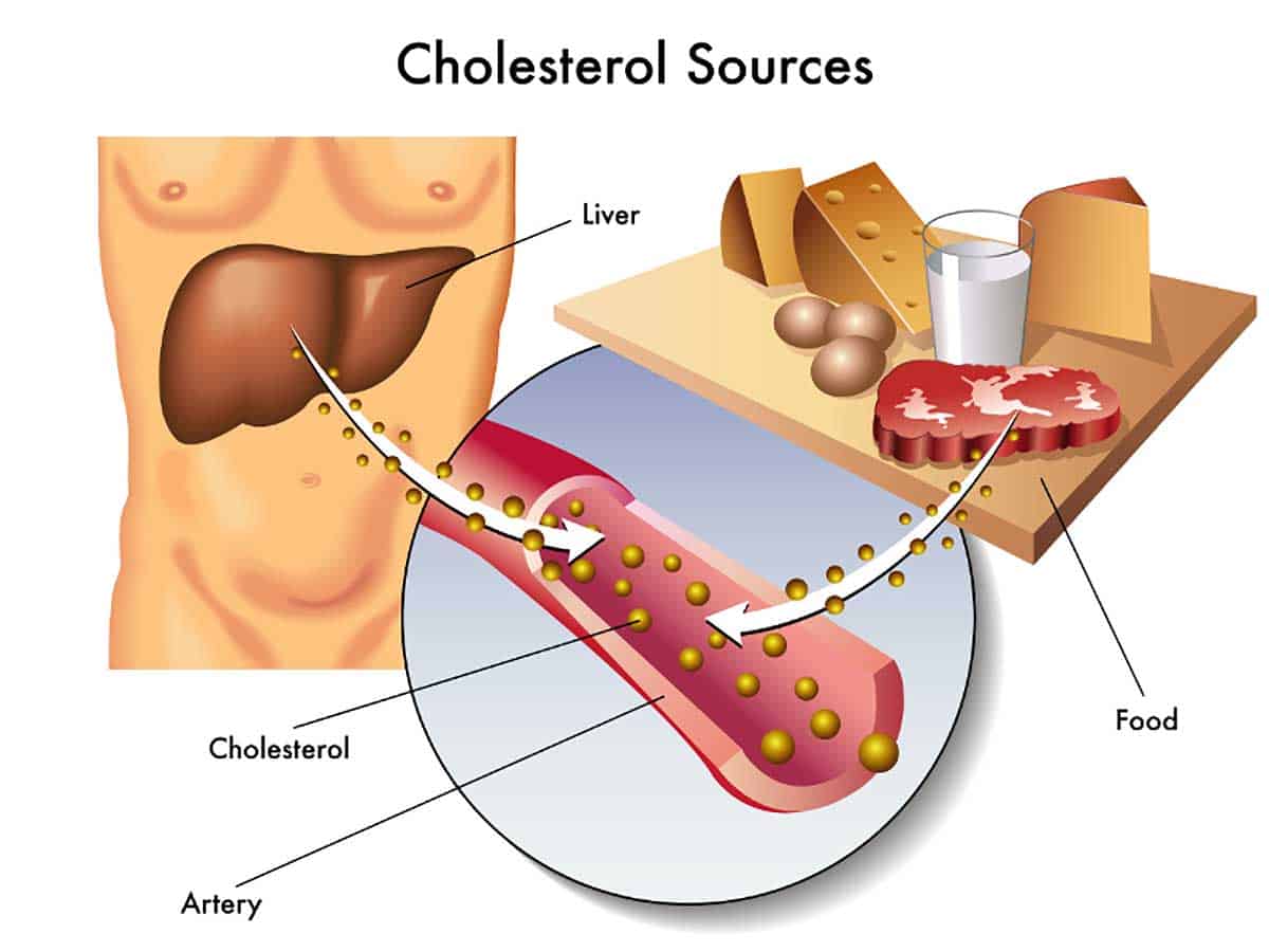Pasta y colesterol