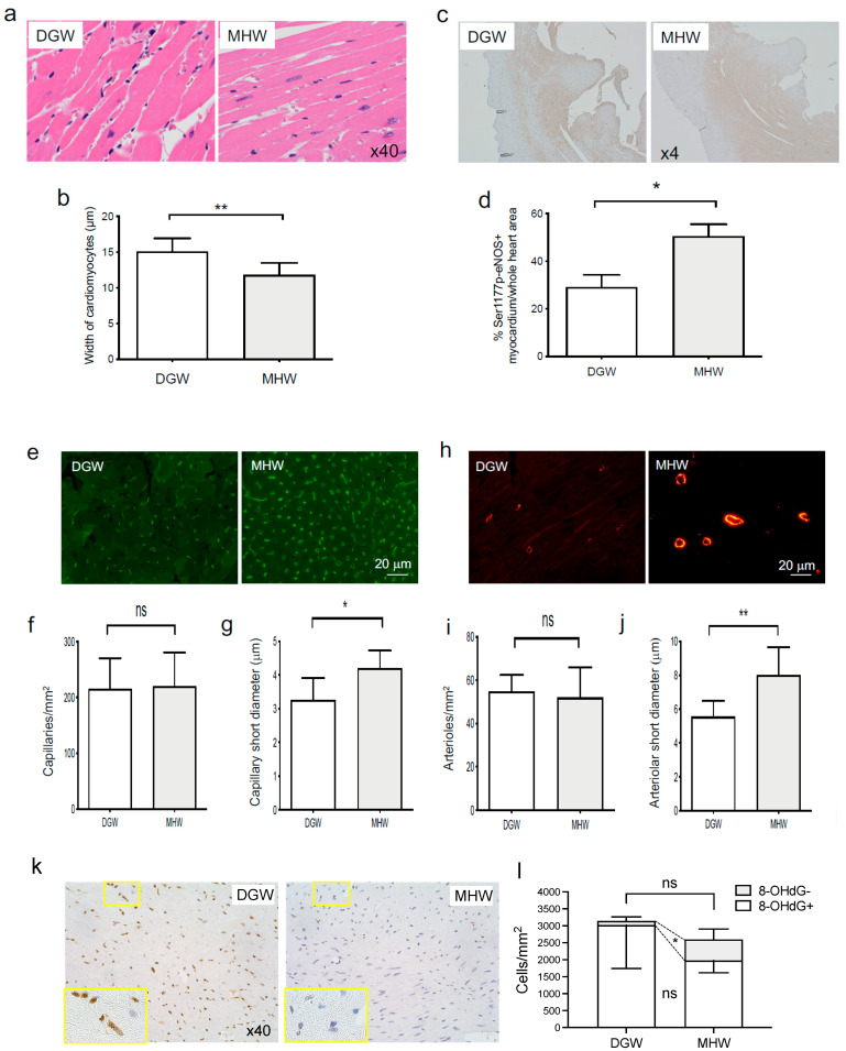 An external file that holds a picture, illustration, etc.
Object name is biology-10-00364-g005.jpg