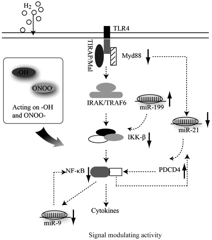 An external file that holds a picture, illustration, etc.
Object name is ijo-06-03-280-g004.jpg